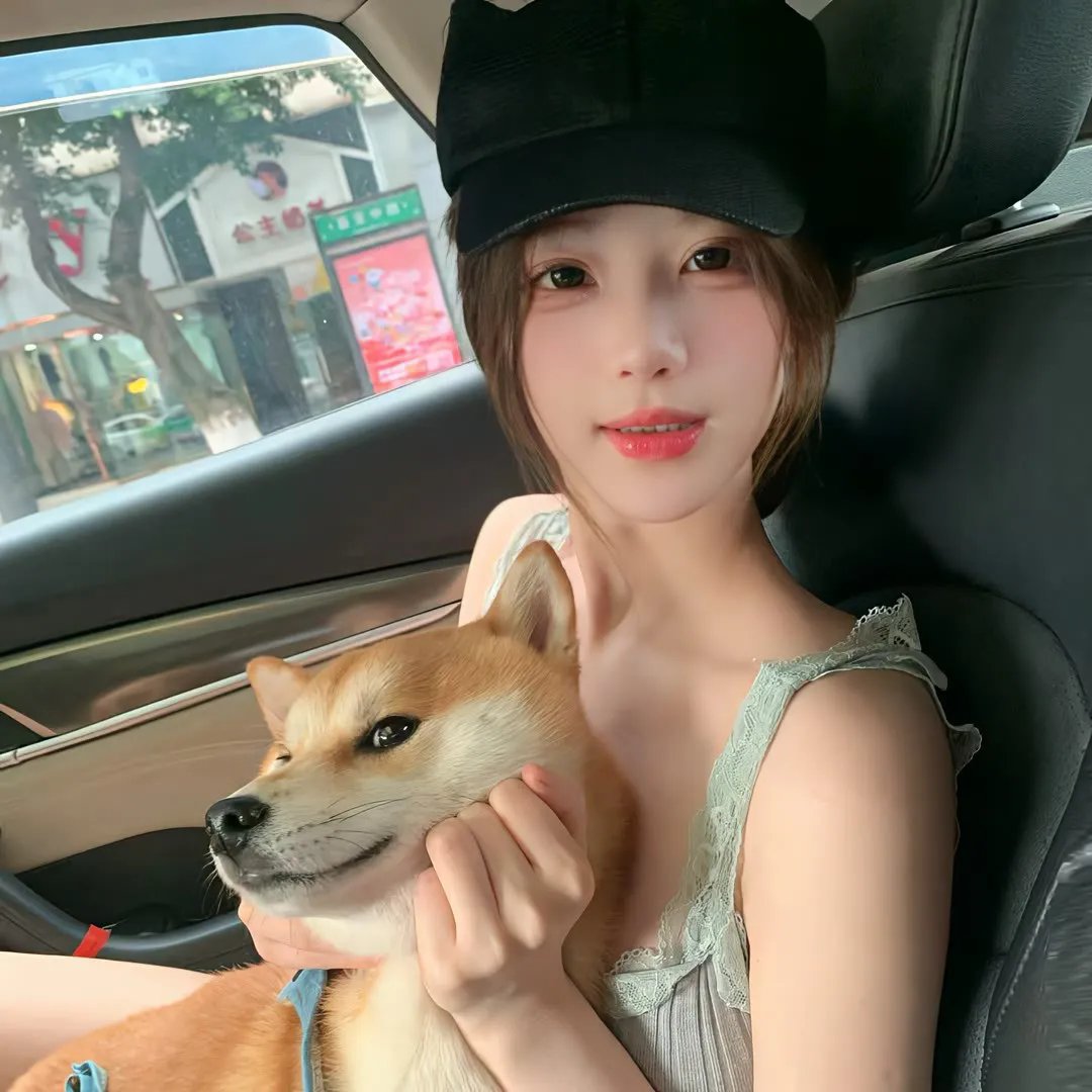 狗的生涯封面